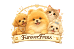 FureverFrens - Home