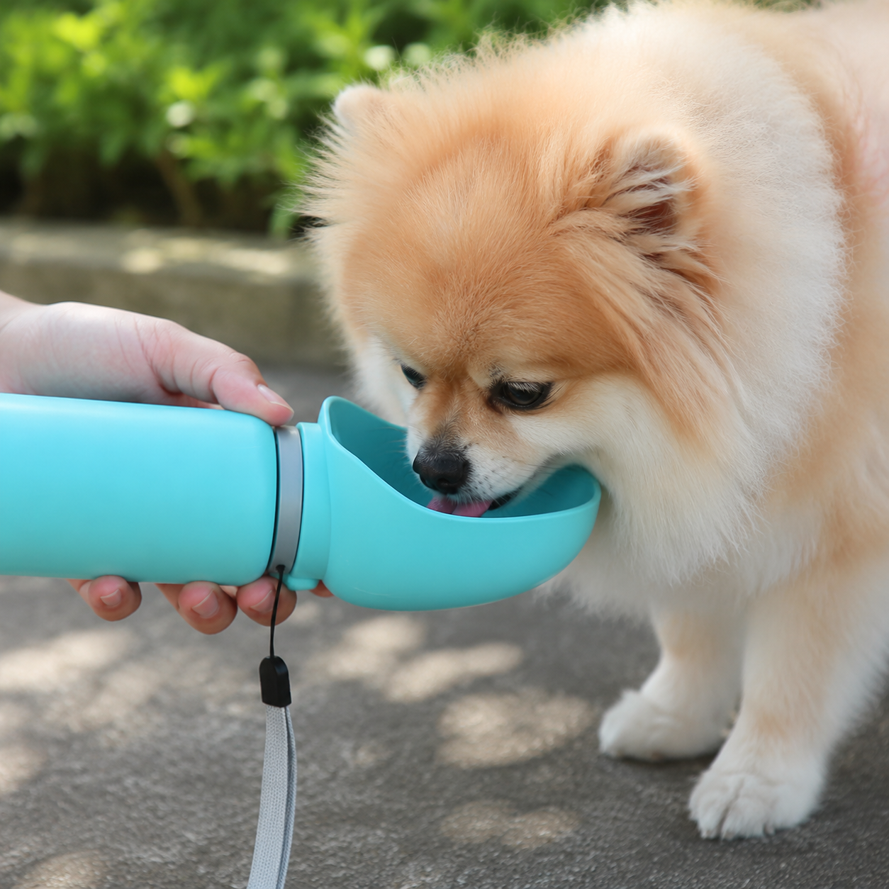 PawSip™ Travel Water Bottle
