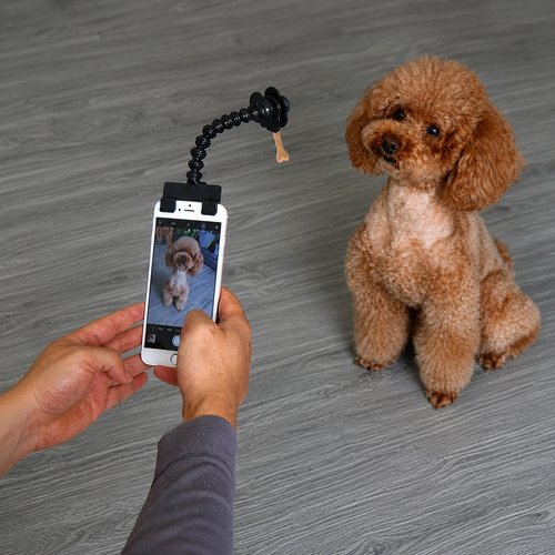 PawFocus™ Pet Selfie Holder