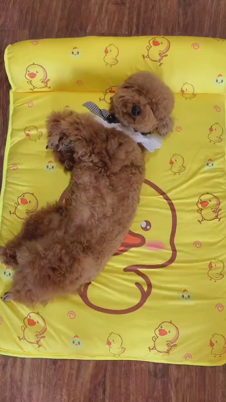 ChillPaws™ Cooling Mat with Pillow